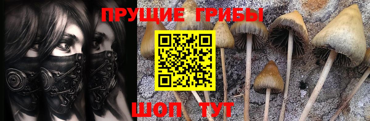Галлюциногенные грибы Cubensis Скопин