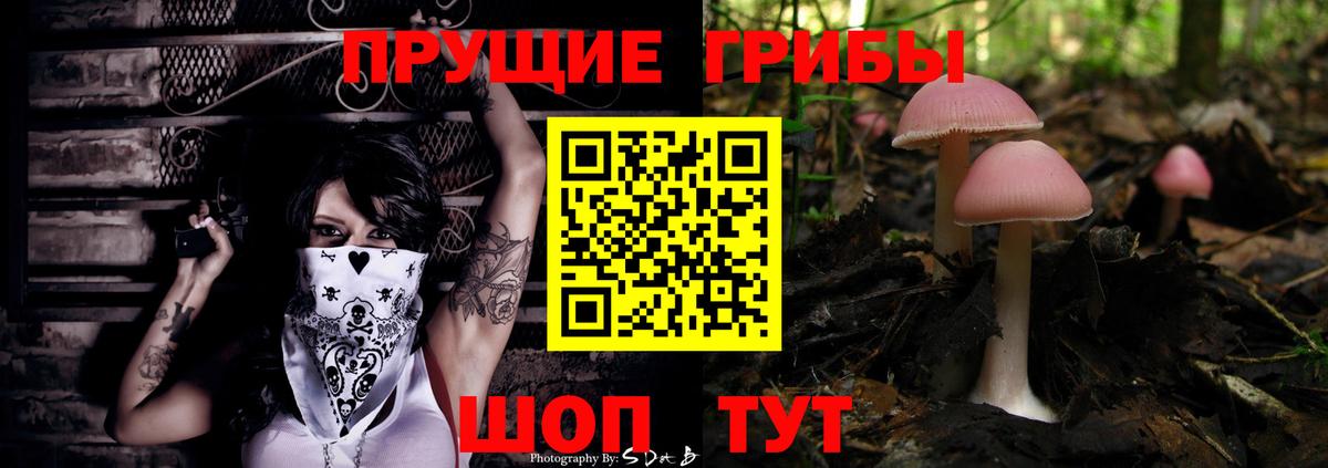Скопин  Псилоцибиновые грибы прущие грибы  Вход с VPN 